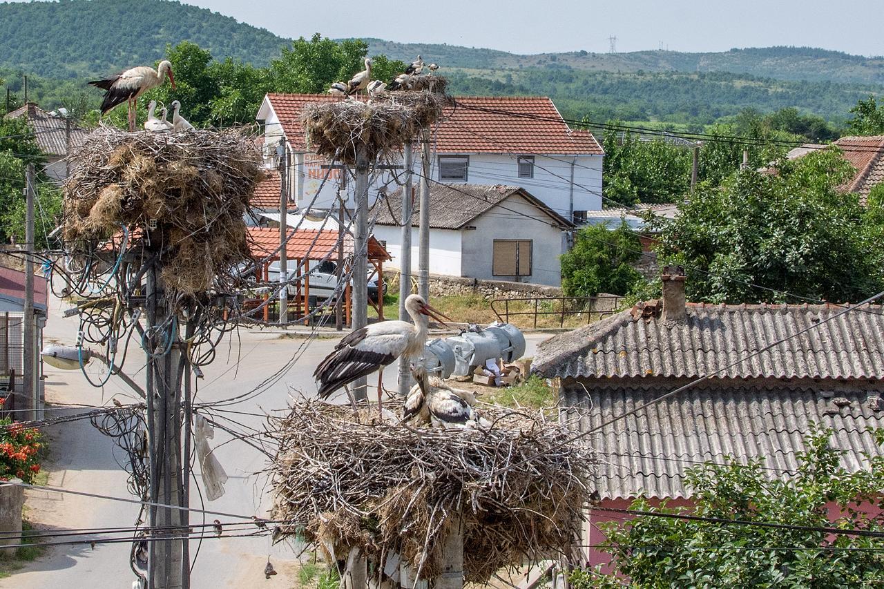 Bed & Breakfast Delikates Stojakovo Екстериор снимка